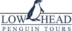 Logo penguin